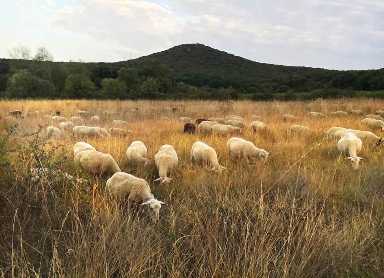 B&B Champdelaplume Barjac  Dış mekan fotoğraf