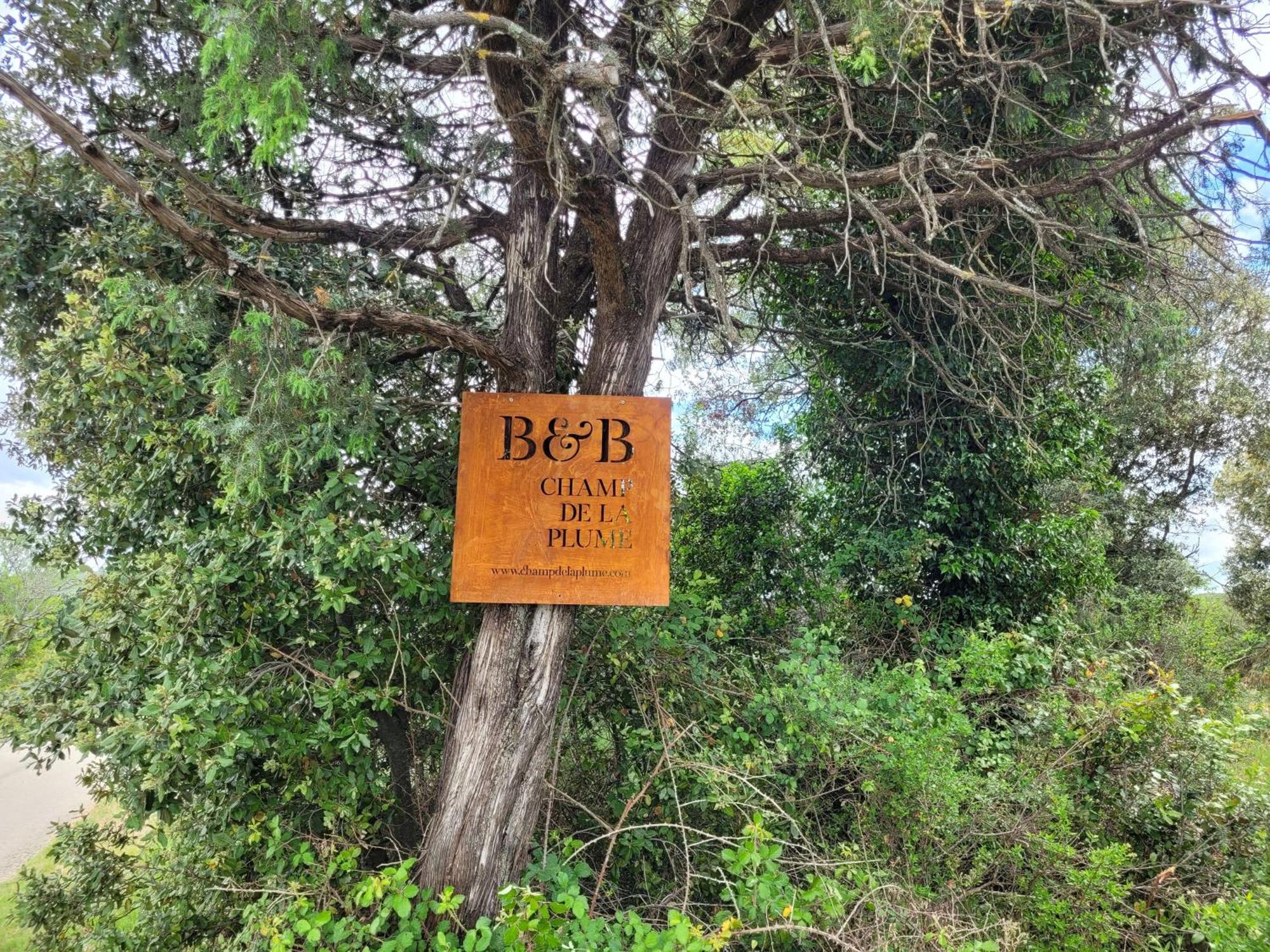 B&B Champdelaplume Barjac  Dış mekan fotoğraf